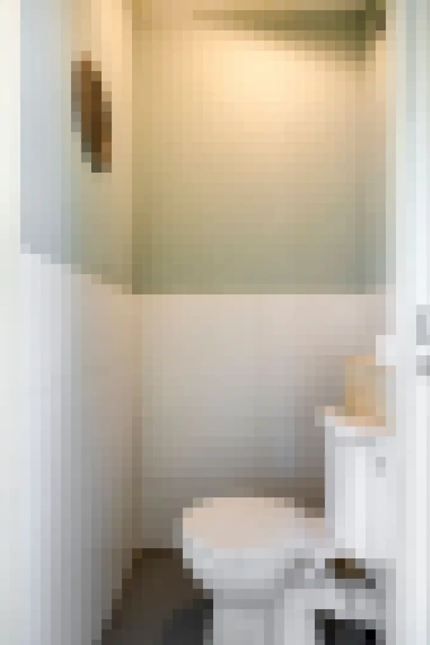 Jan van Delftstraat 35 Rosmalen thumbnail 9