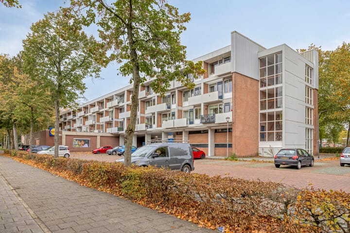 Jan van Delftstraat 43 in Rosmalen Foto