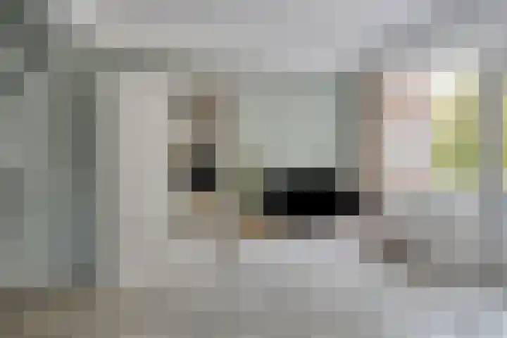 Jan van Delftstraat 43 Rosmalen thumbnail 16