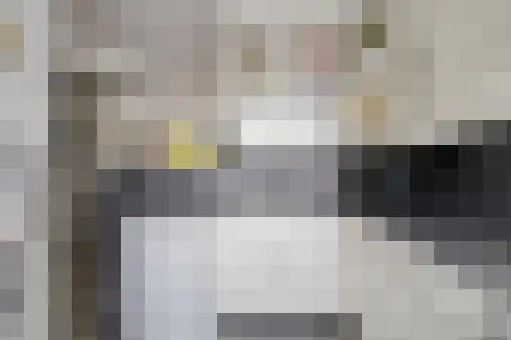 Jan van Delftstraat 43 Rosmalen thumbnail 20