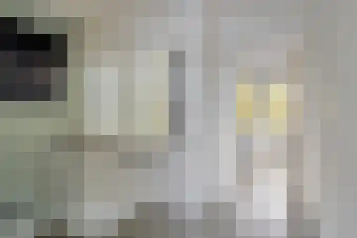 Jan van Delftstraat 43 Rosmalen thumbnail 24