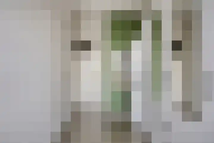 Jan van Delftstraat 43 Rosmalen thumbnail 33