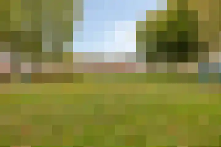 Jan van Delftstraat 43 Rosmalen thumbnail 36