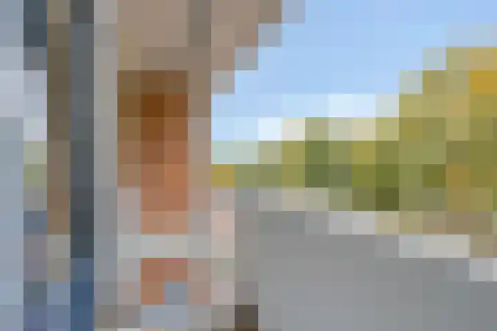 Jan van Delftstraat 43 Rosmalen thumbnail 5