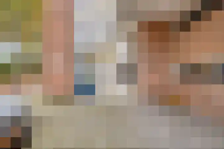 Jan van Delftstraat 43 Rosmalen thumbnail 8