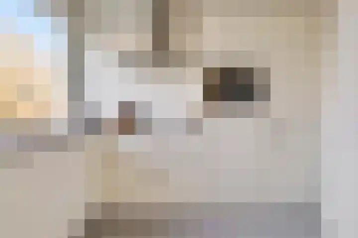 Jan van Delftstraat 67 Rosmalen thumbnail 11