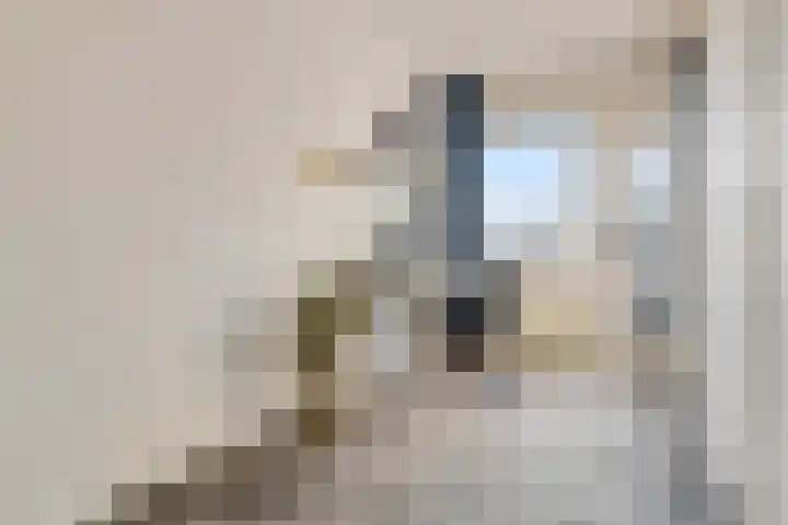 Jan van Delftstraat 67 Rosmalen thumbnail 19