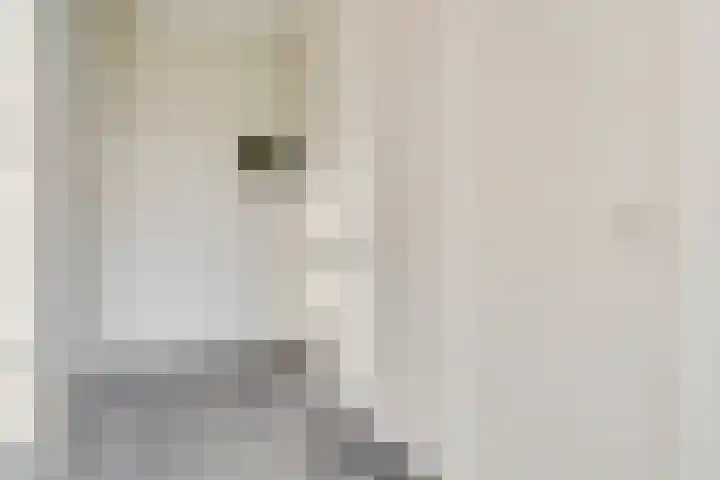 Jan van Delftstraat 67 Rosmalen thumbnail 24