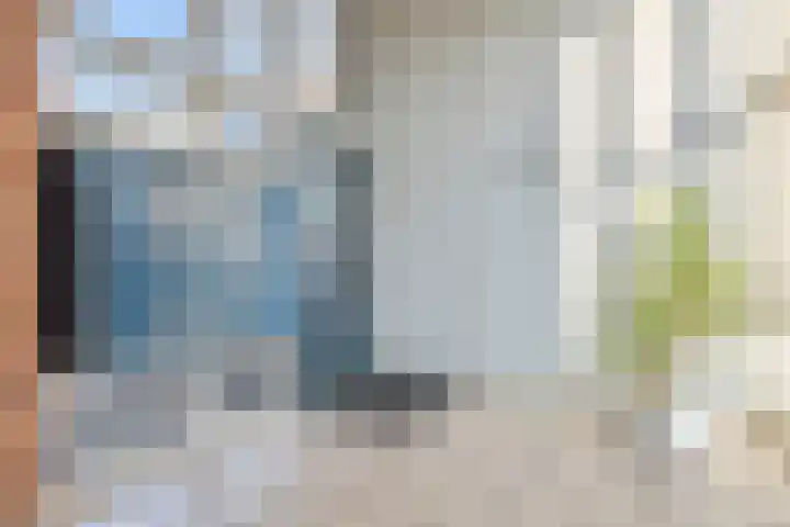 Jan van Delftstraat 67 Rosmalen thumbnail 31