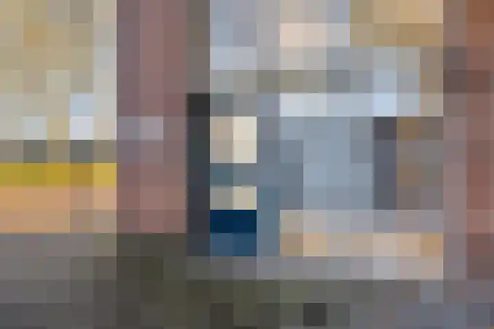 Jan van Delftstraat 67 Rosmalen thumbnail 32