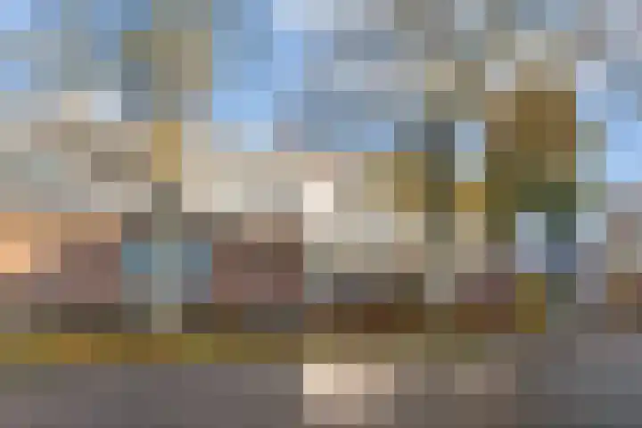 Jan van Delftstraat 67 Rosmalen thumbnail 36
