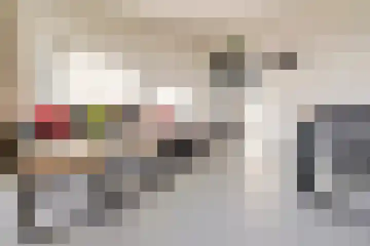 Jan van Delftstraat 67 Rosmalen thumbnail 6
