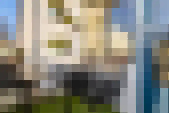 Jan van Delftstraat 67 Rosmalen thumbnail 9