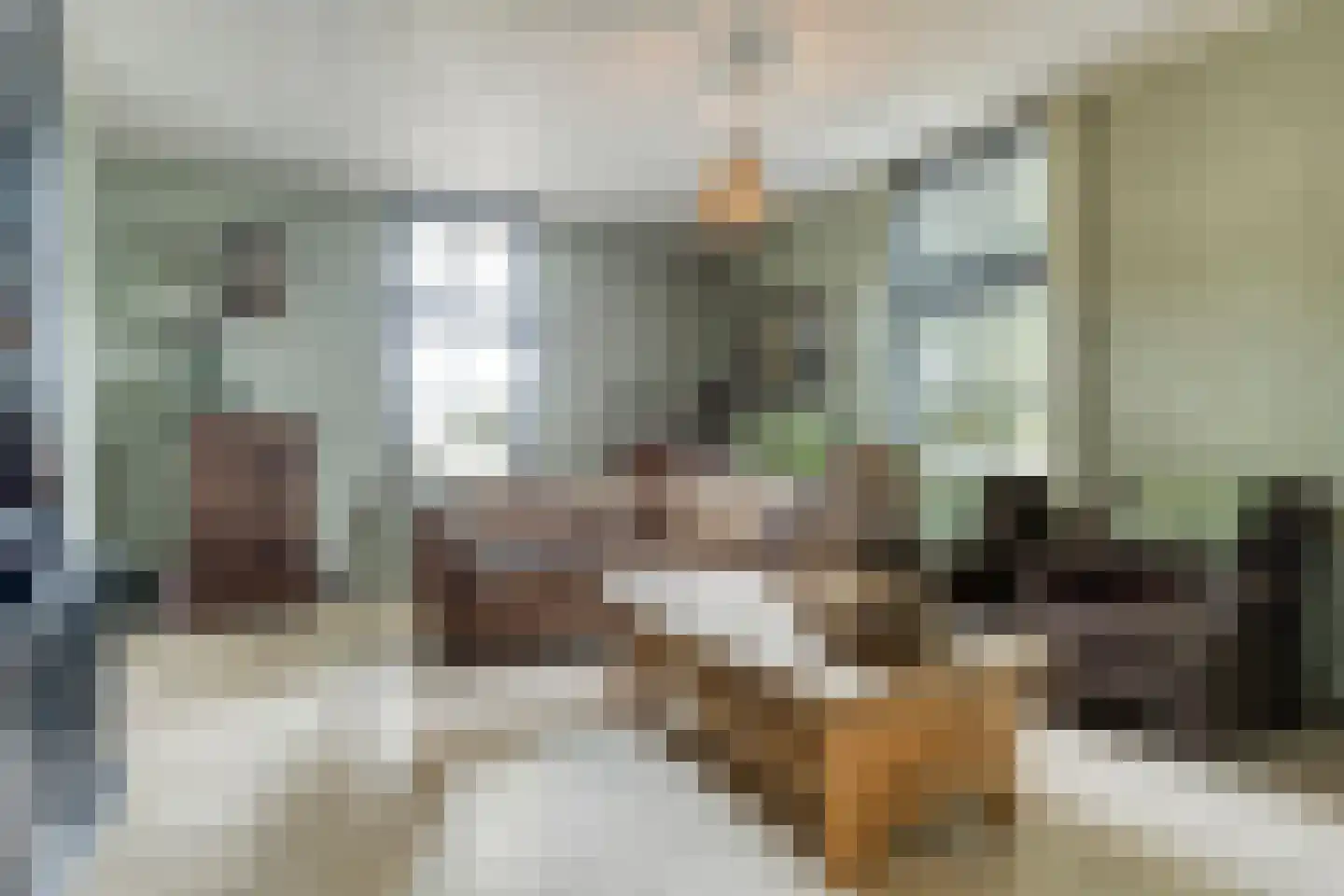 Jan van den Boomstraat 5 Heeswijk-Dinther thumbnail 7