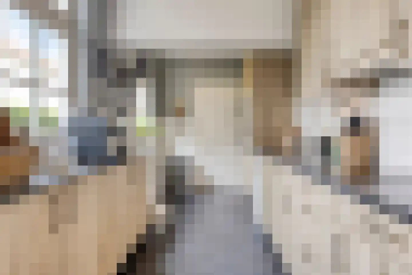 Jan van den Boomstraat 5 Heeswijk-Dinther thumbnail 8