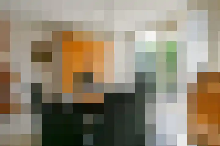 Jan van der Benstraat 28 Schagen thumbnail 17