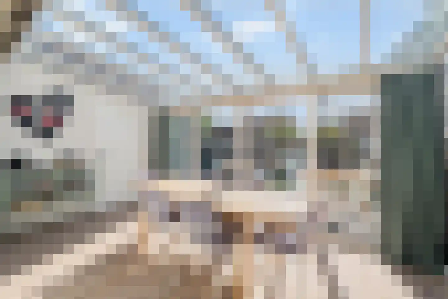 Jan van der Benstraat 38 Schagen thumbnail 12