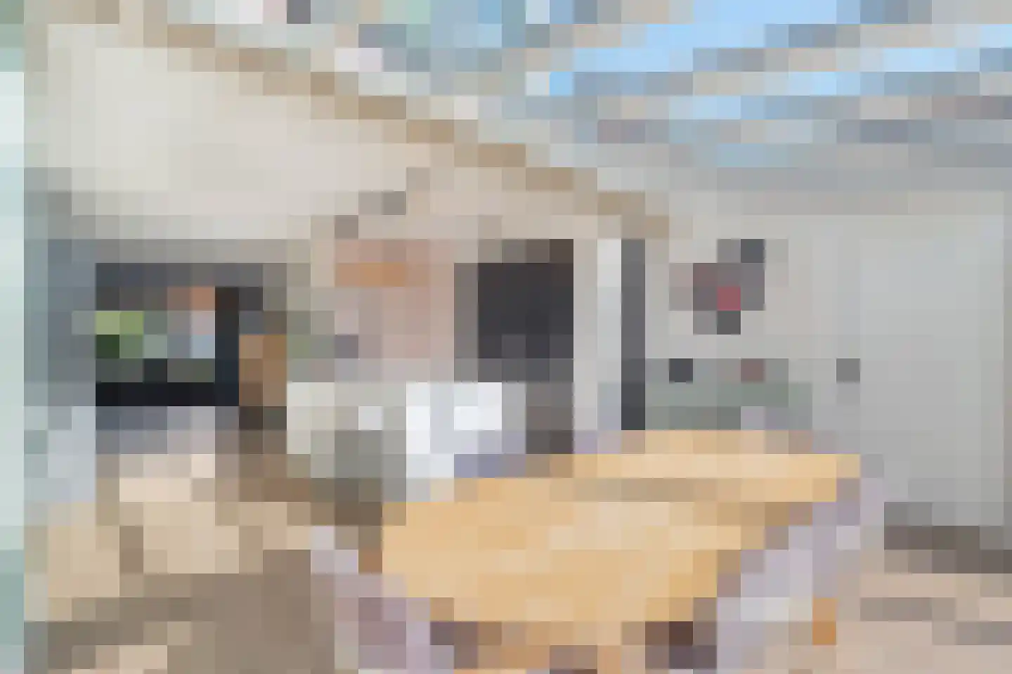 Jan van der Benstraat 38 Schagen thumbnail 13