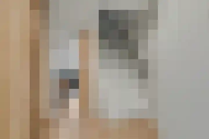 Jan van der Benstraat 66 Schagen thumbnail 18