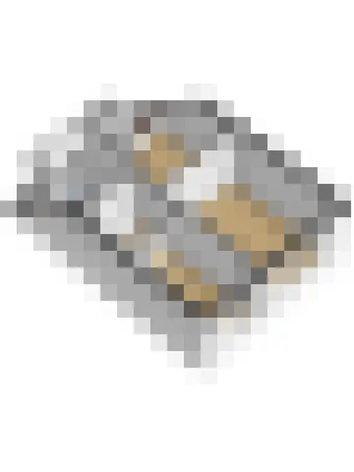 Jan van der Benstraat 66 Schagen thumbnail 38