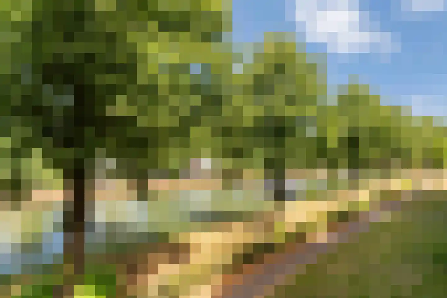 Jan van der Croonstraat 69 Weert thumbnail 37