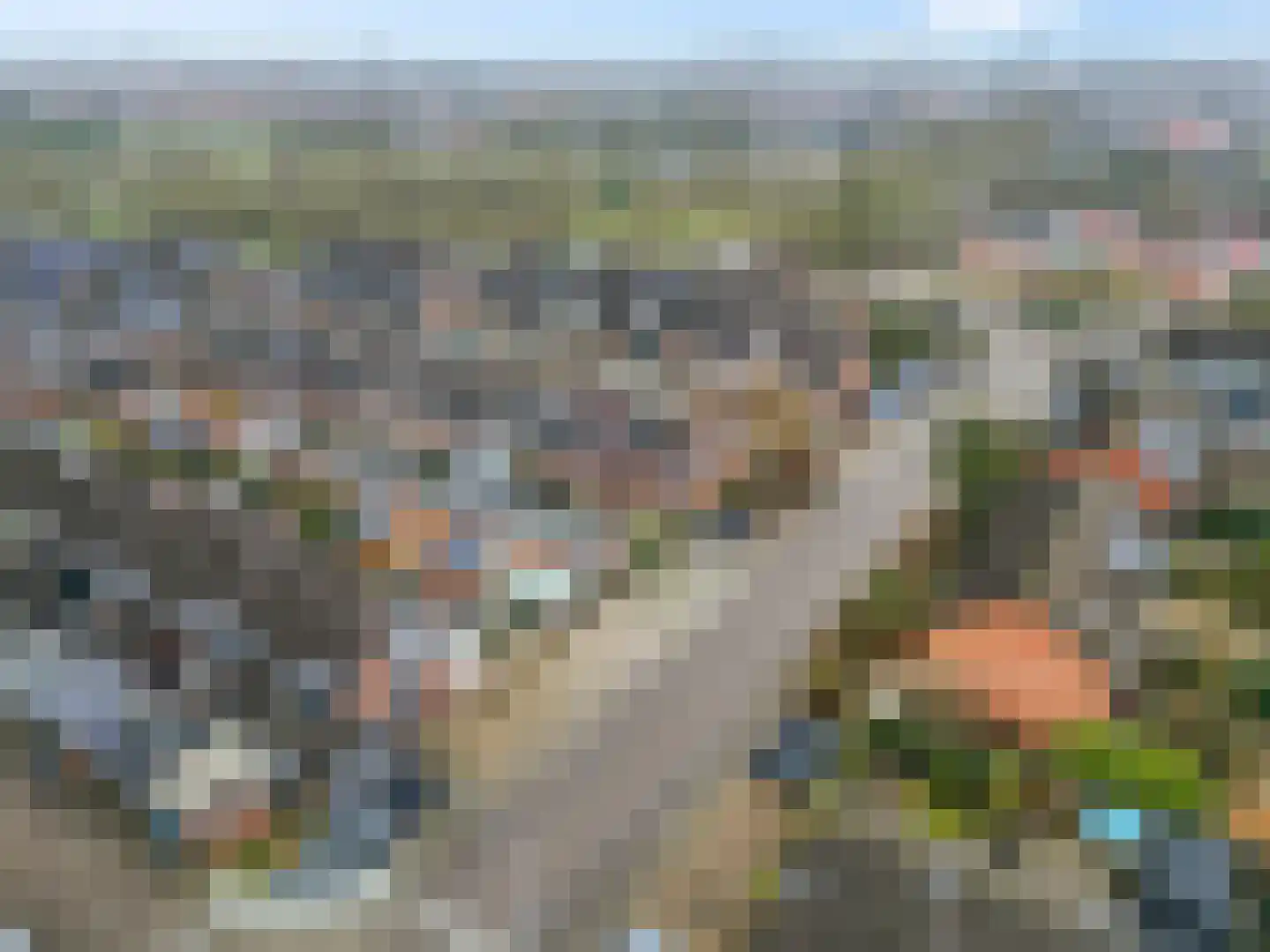 Jan van der Gripstraat 1 Tiel thumbnail 32