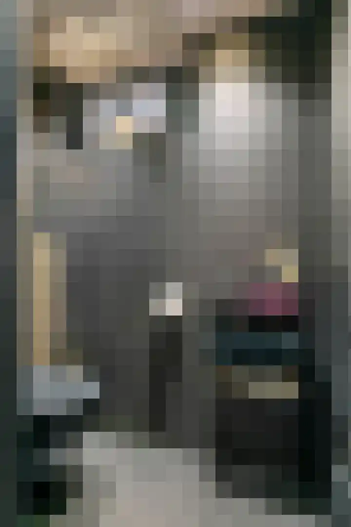 Jan van der Gripstraat 16 Tiel thumbnail 11