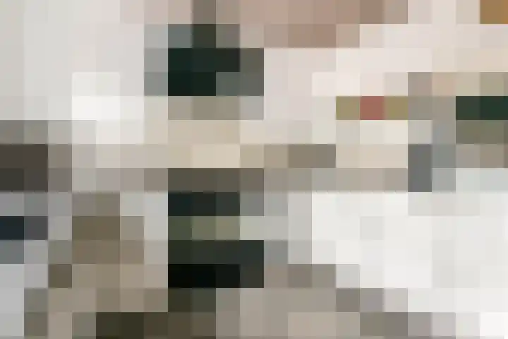 Jan van der Gripstraat 16 Tiel thumbnail 12