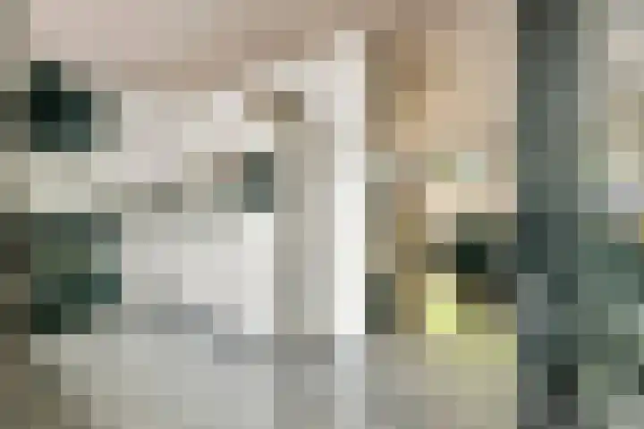 Jan van der Gripstraat 16 Tiel thumbnail 13