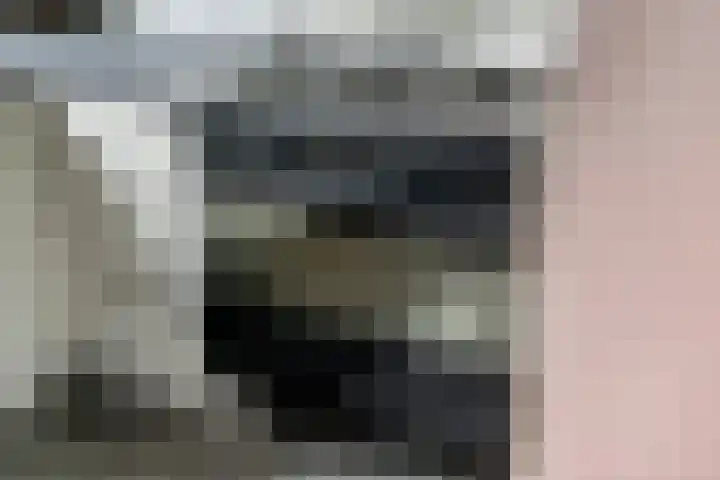 Jan van der Gripstraat 16 Tiel thumbnail 14