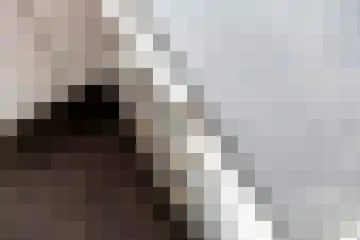 Jan van der Gripstraat 16 Tiel thumbnail 15