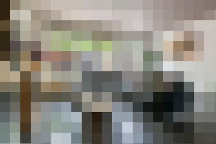 Jan van der Gripstraat 16 Tiel thumbnail 17