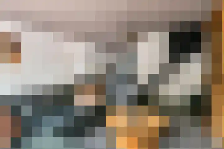 Jan van der Gripstraat 16 Tiel thumbnail 18