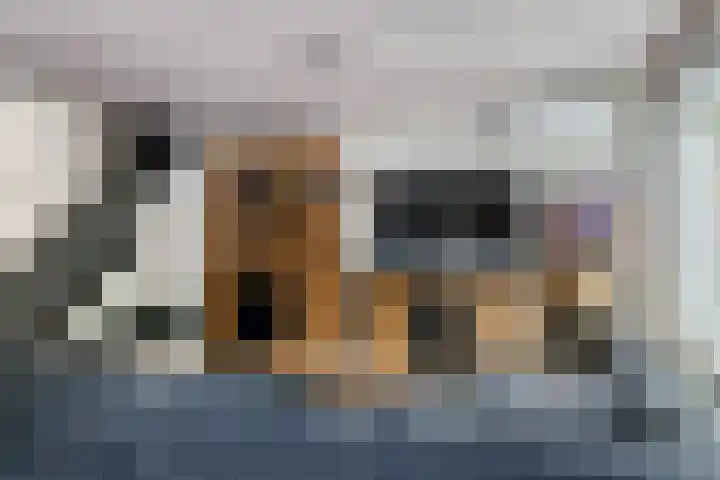 Jan van der Gripstraat 16 Tiel thumbnail 20