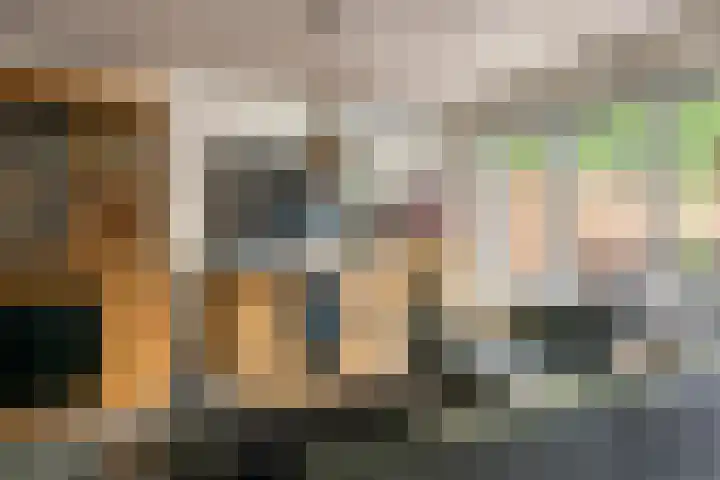 Jan van der Gripstraat 16 Tiel thumbnail 21