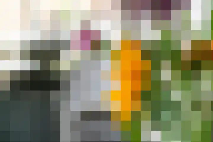 Jan van der Gripstraat 16 Tiel thumbnail 23