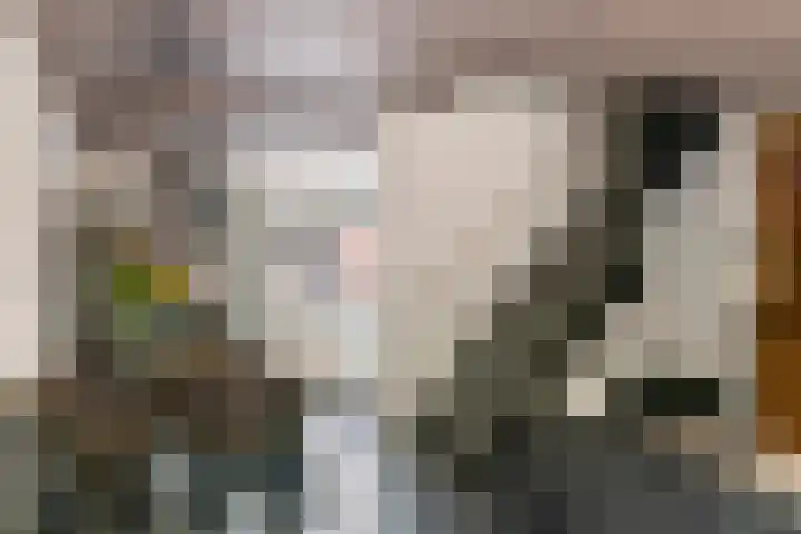 Jan van der Gripstraat 16 Tiel thumbnail 24