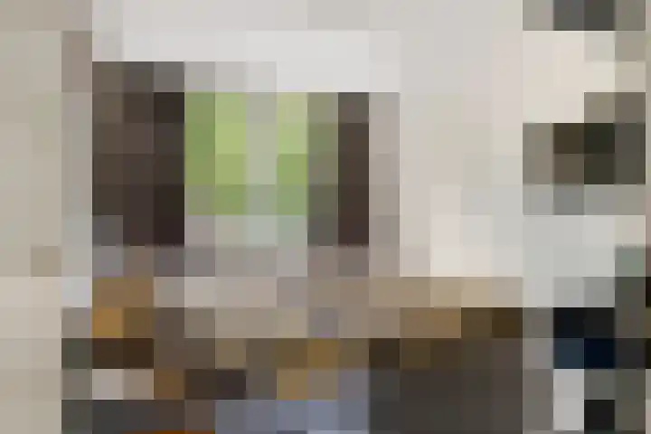 Jan van der Gripstraat 16 Tiel thumbnail 26