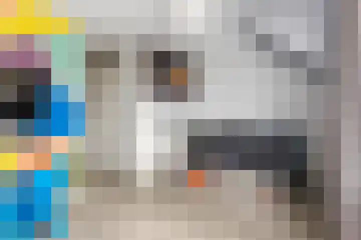 Jan van der Gripstraat 16 Tiel thumbnail 28