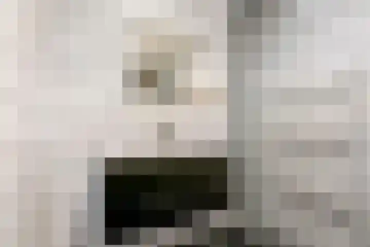 Jan van der Gripstraat 16 Tiel thumbnail 30