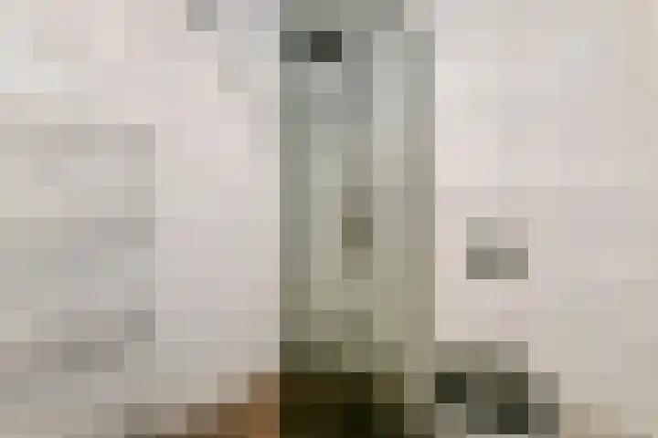 Jan van der Gripstraat 16 Tiel thumbnail 32