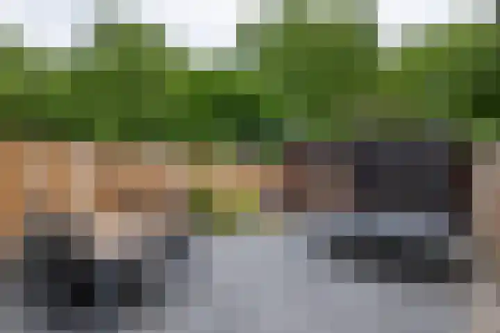 Jan van der Gripstraat 16 Tiel thumbnail 8