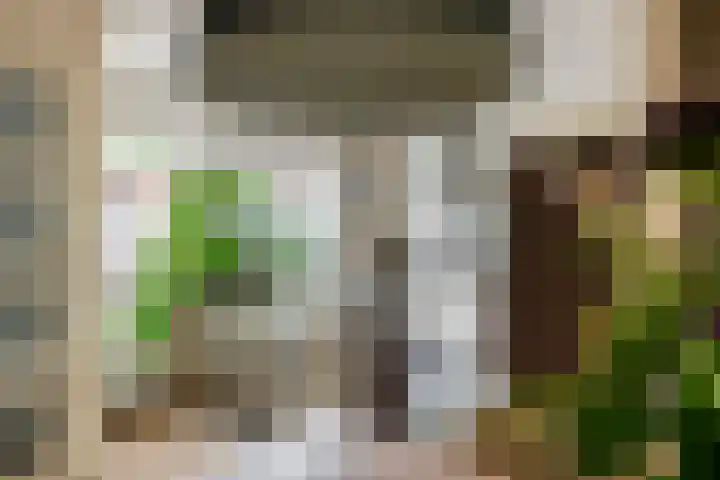 Jan van der Gripstraat 28 Tiel thumbnail 10