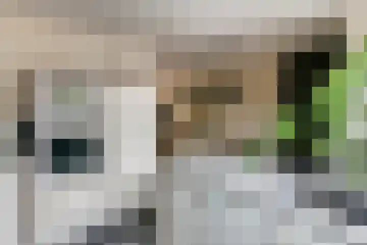 Jan van der Gripstraat 28 Tiel thumbnail 12