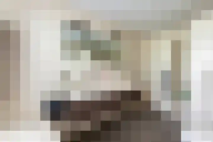 Jan van der Gripstraat 28 Tiel thumbnail 20