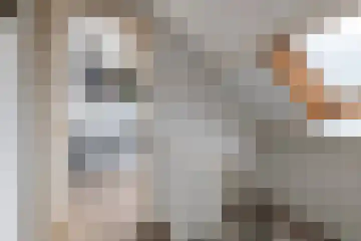 Jan van der Gripstraat 28 Tiel thumbnail 23