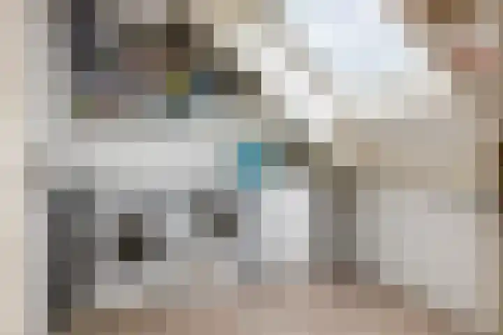 Jan van der Gripstraat 28 Tiel thumbnail 24