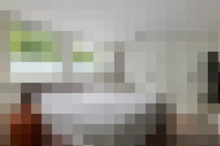 Jan van der Gripstraat 28 Tiel thumbnail 25