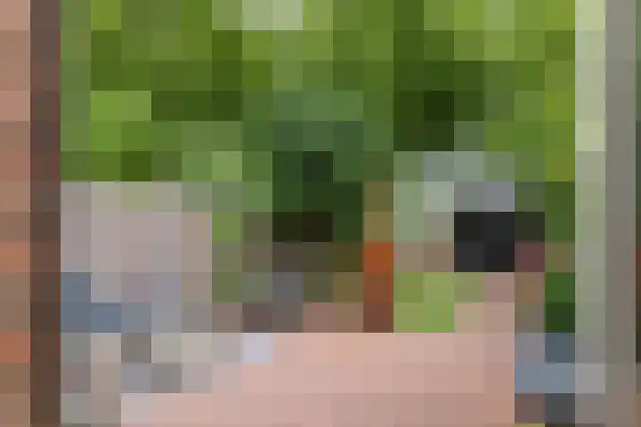Jan van der Gripstraat 28 Tiel thumbnail 27