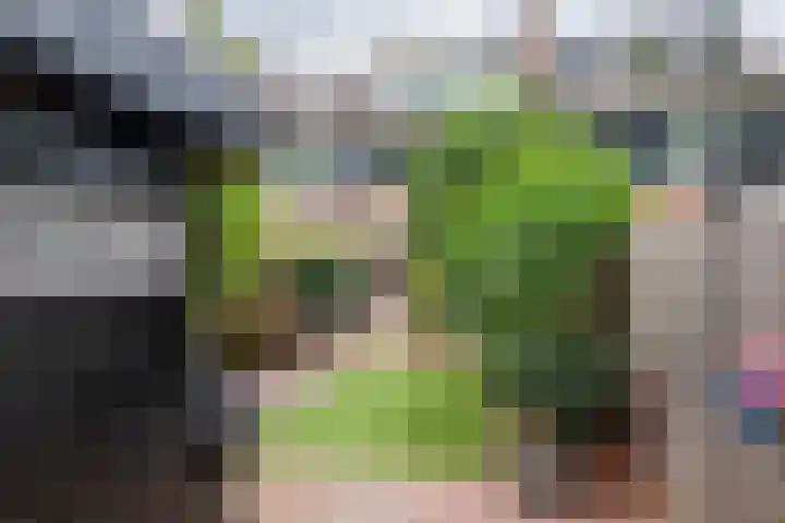 Jan van der Gripstraat 28 Tiel thumbnail 32